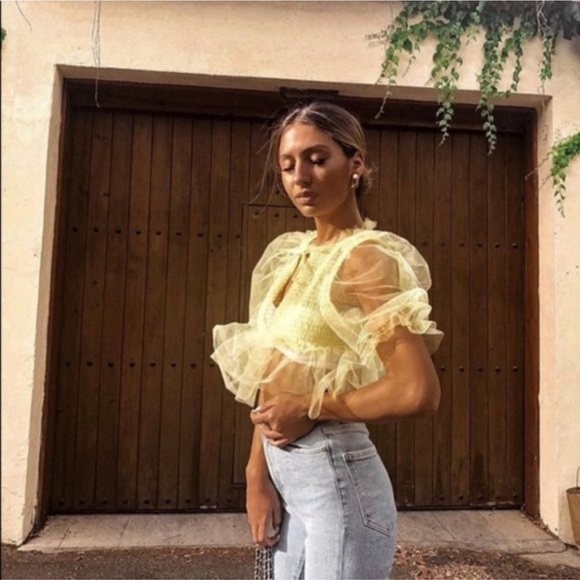 Zara Transparent Leopard Puff Sleeve Crop Blouse - Picture 16 of 16